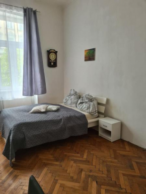 Central City Apartment 131